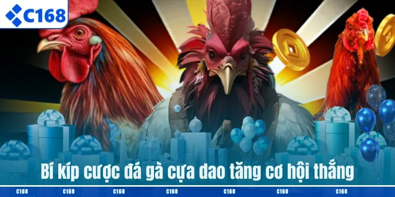 Bí kíp cược đá gà cựa dao tăng cơ hội thắng