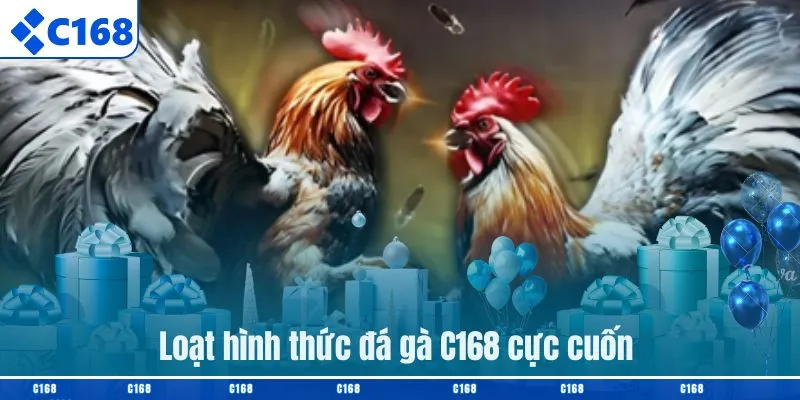 Loạt hình thức đá gà C168 cực cuốn