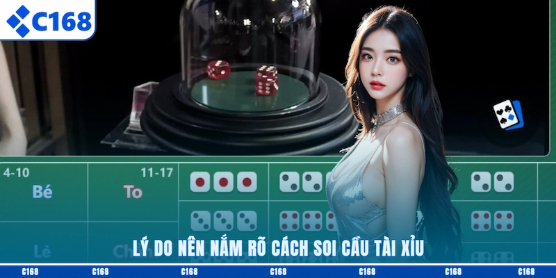 Lý do nên nắm rõ cách soi cầu Tài Xỉu